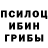 Псилоцибиновые грибы Psilocybine cubensis Janet Ezemba