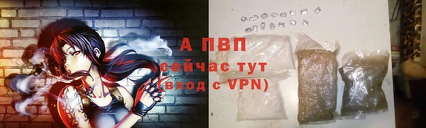 крисы Богородицк