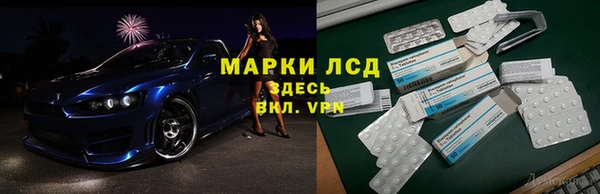 крисы Богородицк