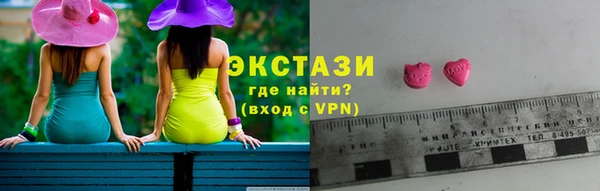 крисы Богородицк