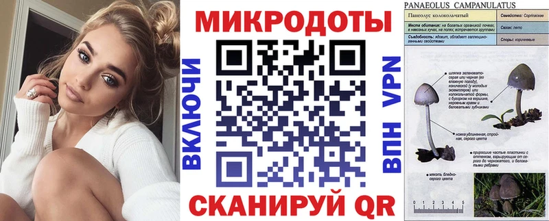 blacksprut онион  Бузулук  Псилоцибиновые грибы ЛСД 